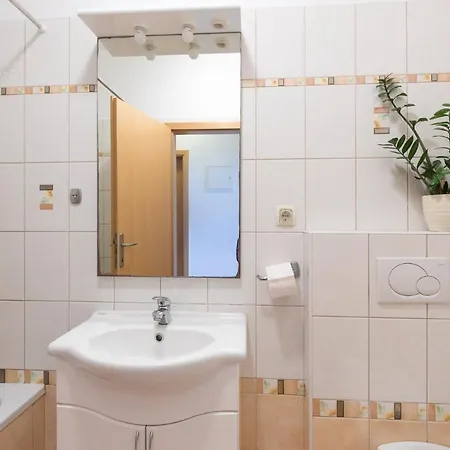 Cvijic Rose Apartment *