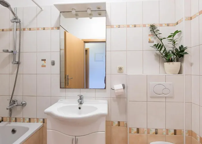 Cvijic Rose Apartment *